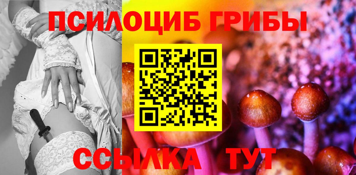 Галлюциногенные грибы Cubensis Майский