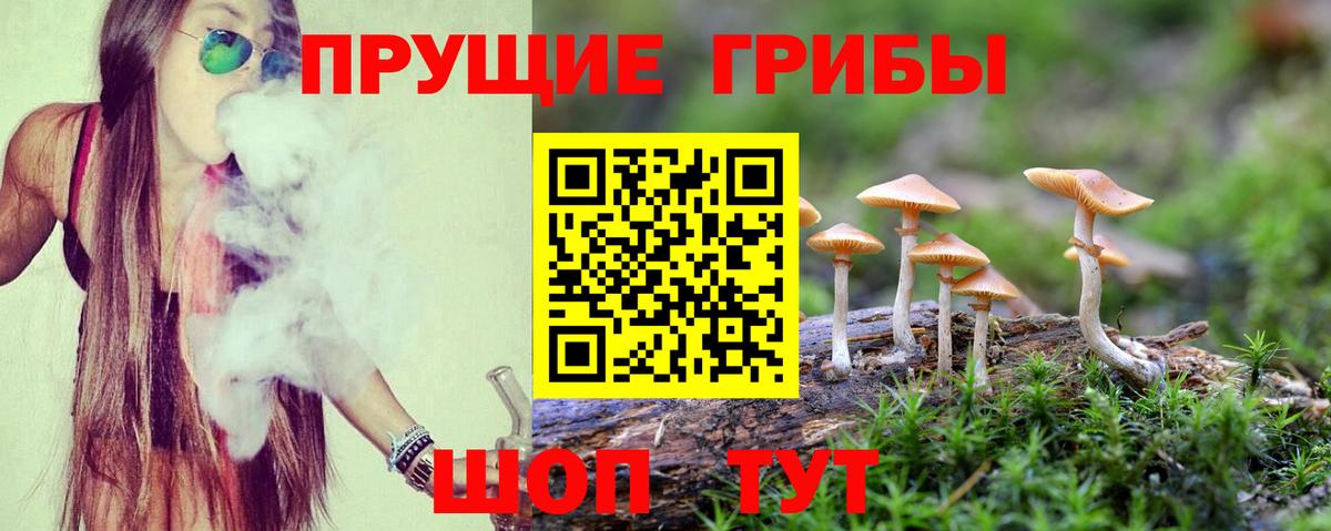 Майский  Галлюциногенные грибы мицелий  Вход с VPN 